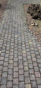 Gratis bestating