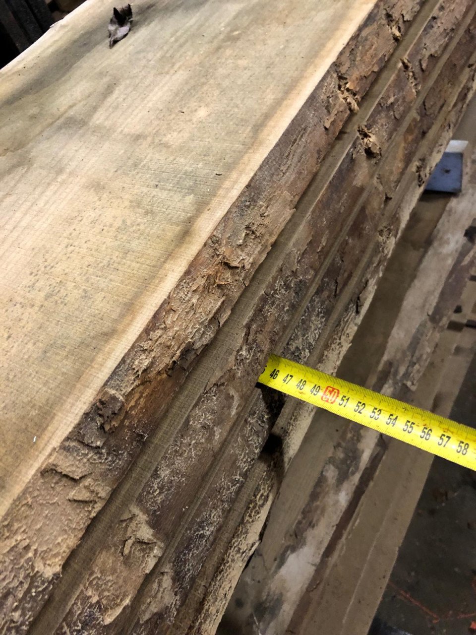 Zeeuwse Iep / Olm stam, hout voor meubels en interieur