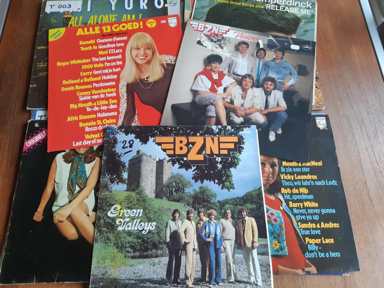 15 lp's pop voor 15 euro