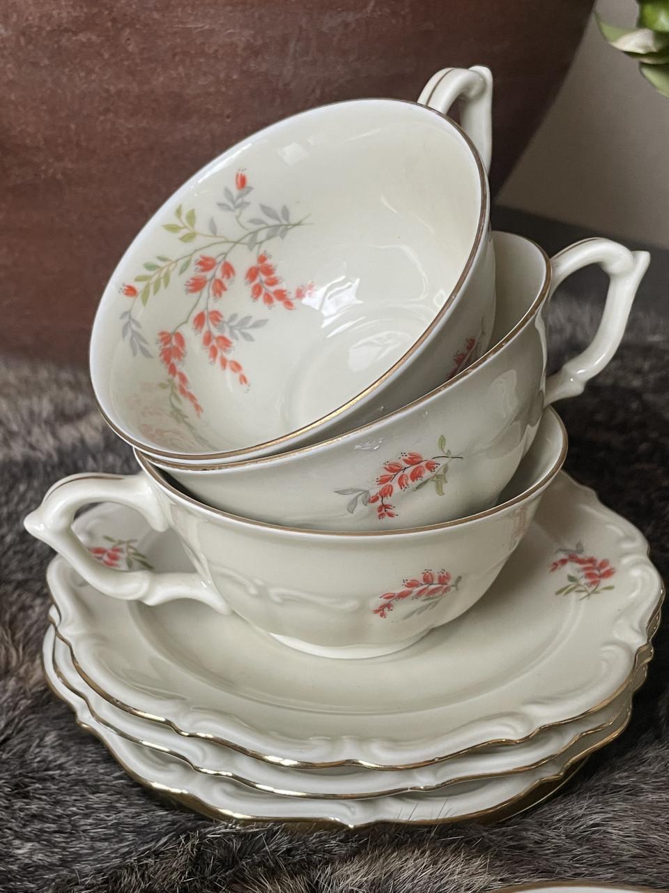 Tielsch-Altwasser kop en schotels Germany(41)