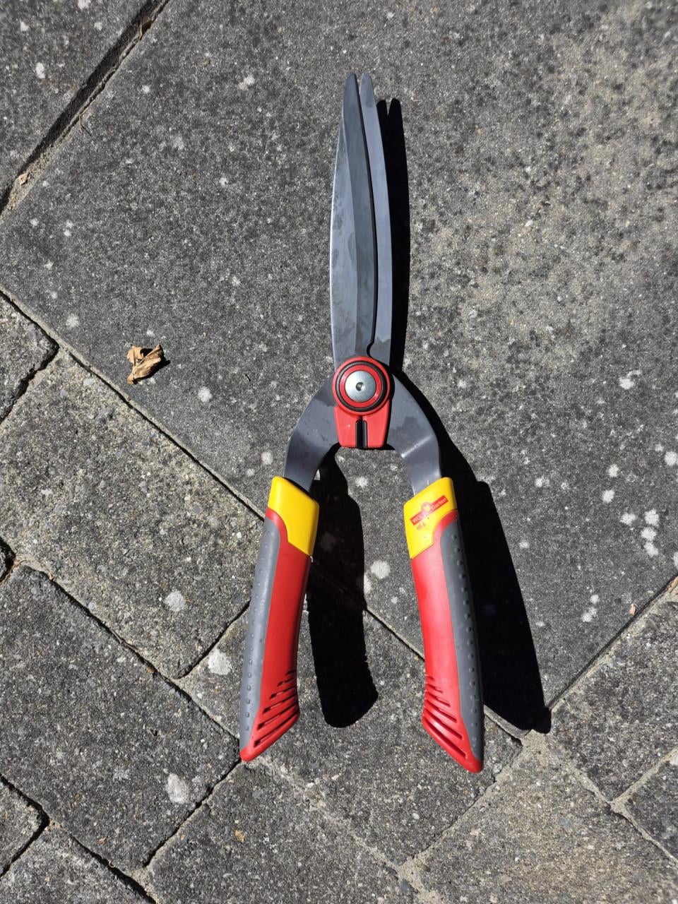 Heggenschaar