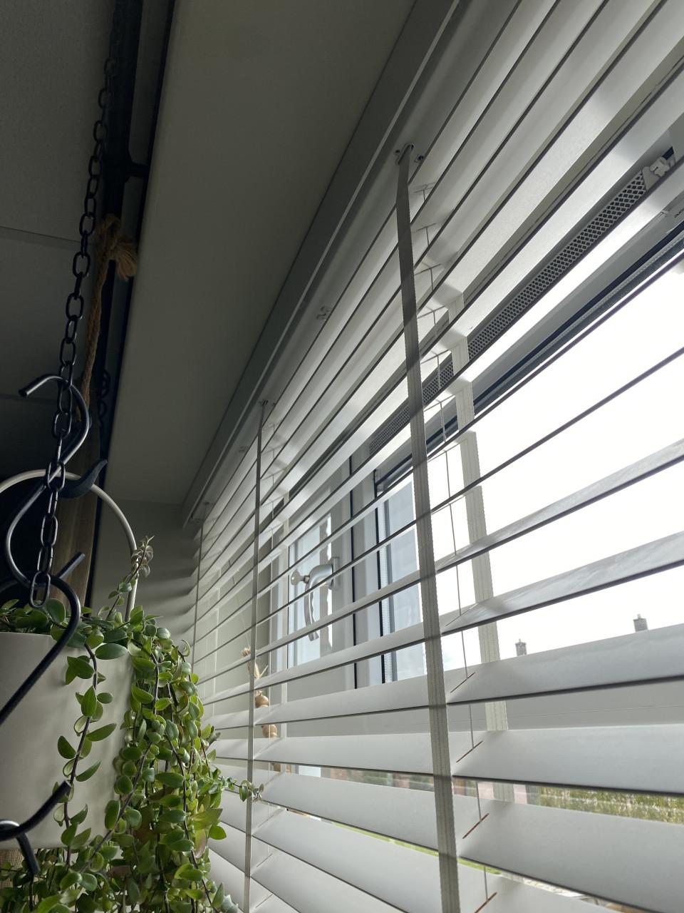 Zware witte JALOEZIEËN