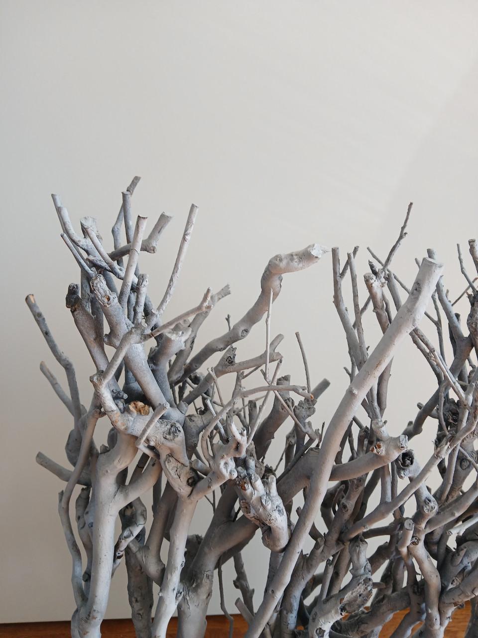 Decoratie met takken