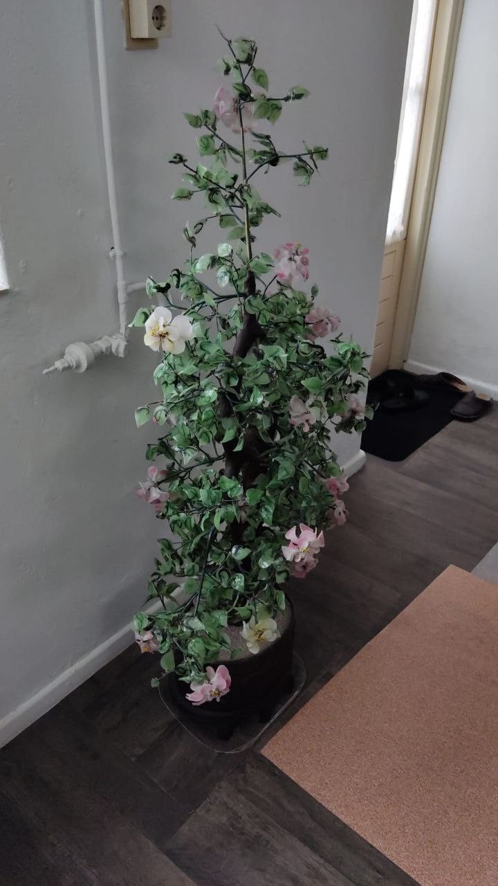 Grote Vintage Bonsai boom van Jadeglas