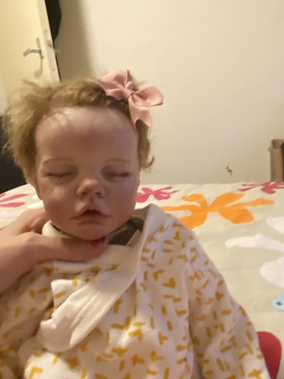 30 reborns voor 500euro