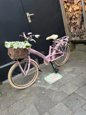 Loekie princes kinderfiets 20 inch meisjesfiets roze