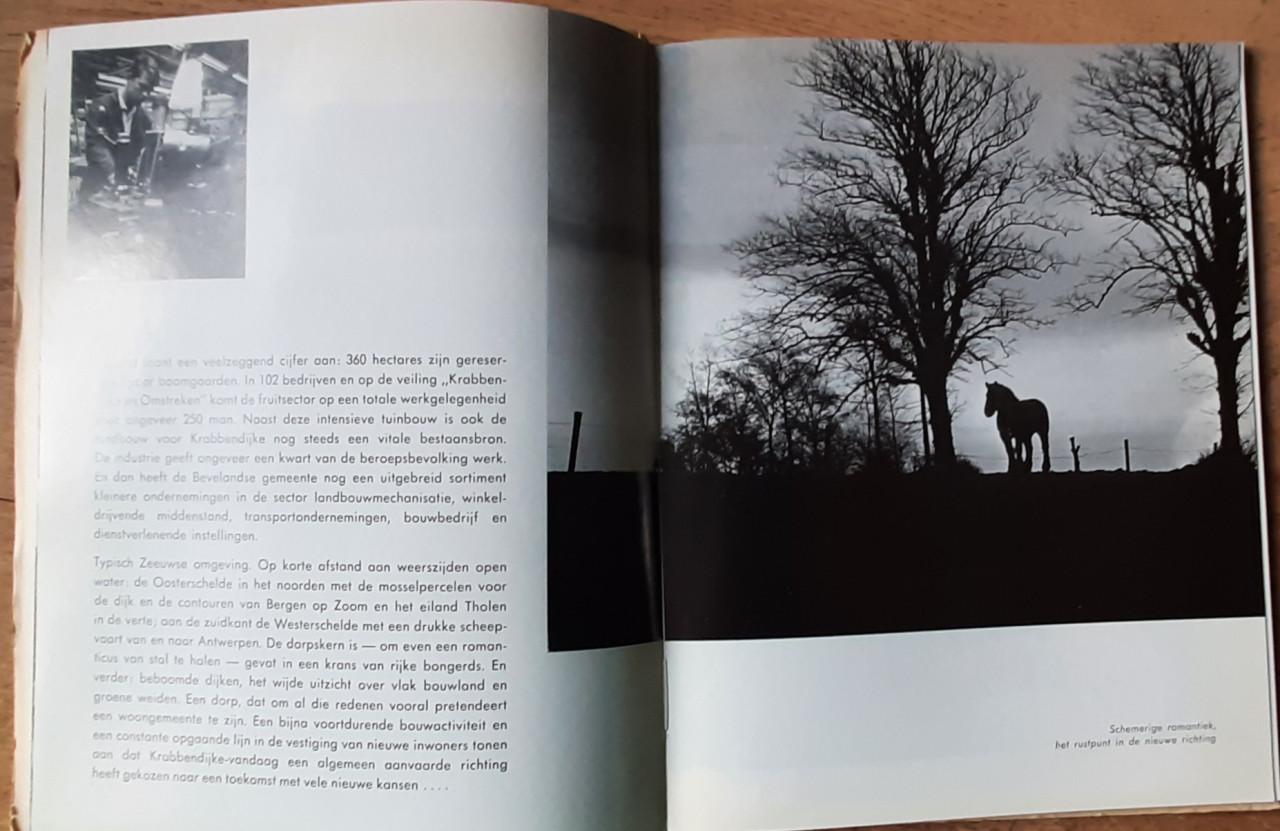 Krabbendijke, door Kees van der Maas en M.P. de Bruin