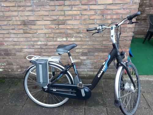 Giant twist elektrische damesfiets