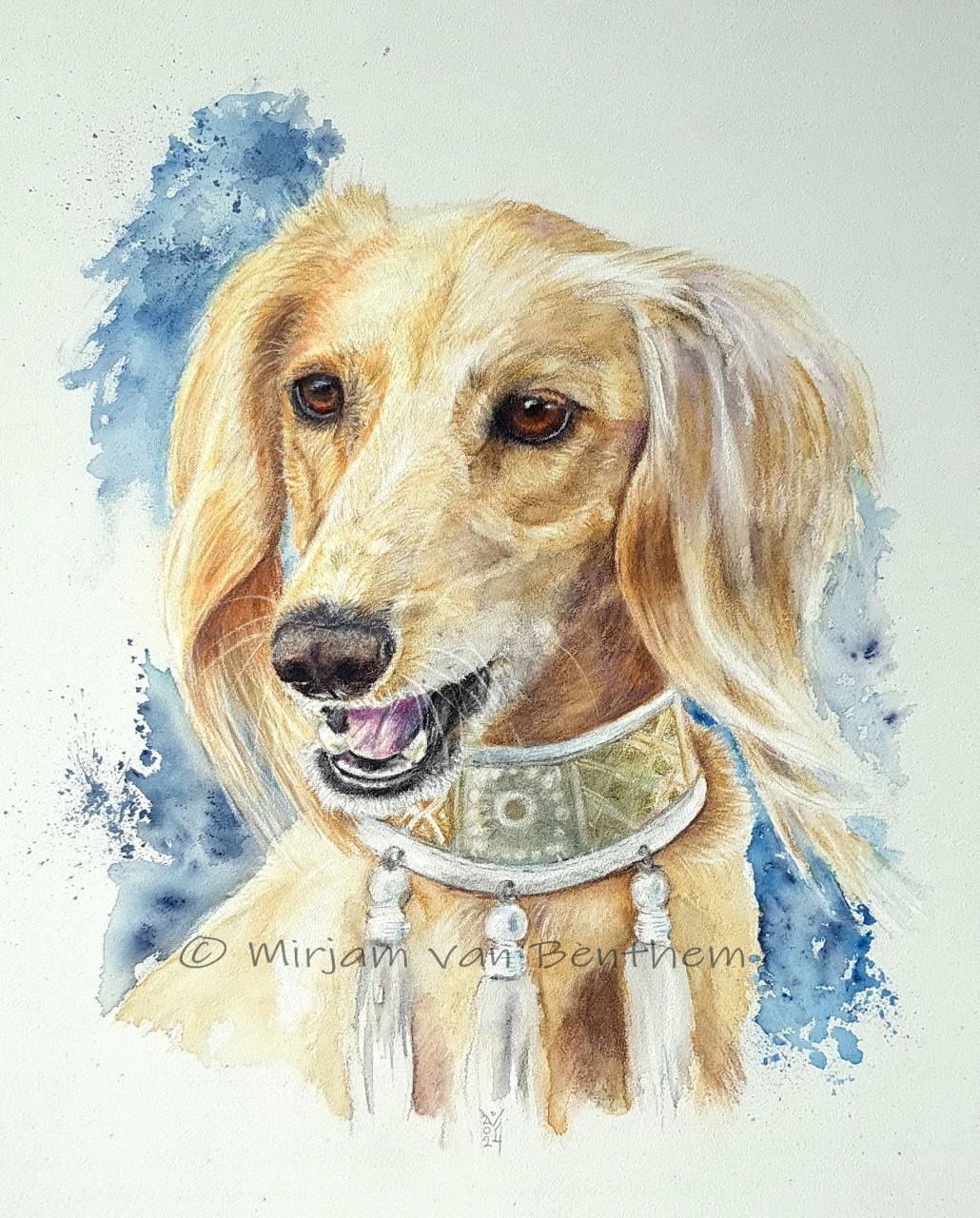 Dierportret in opdracht