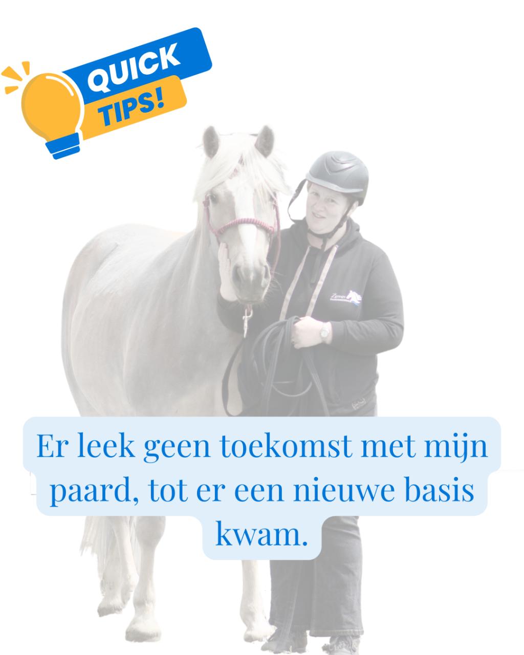 Hulp voor je paard of voor jou.....ik kijk naar jullie samen