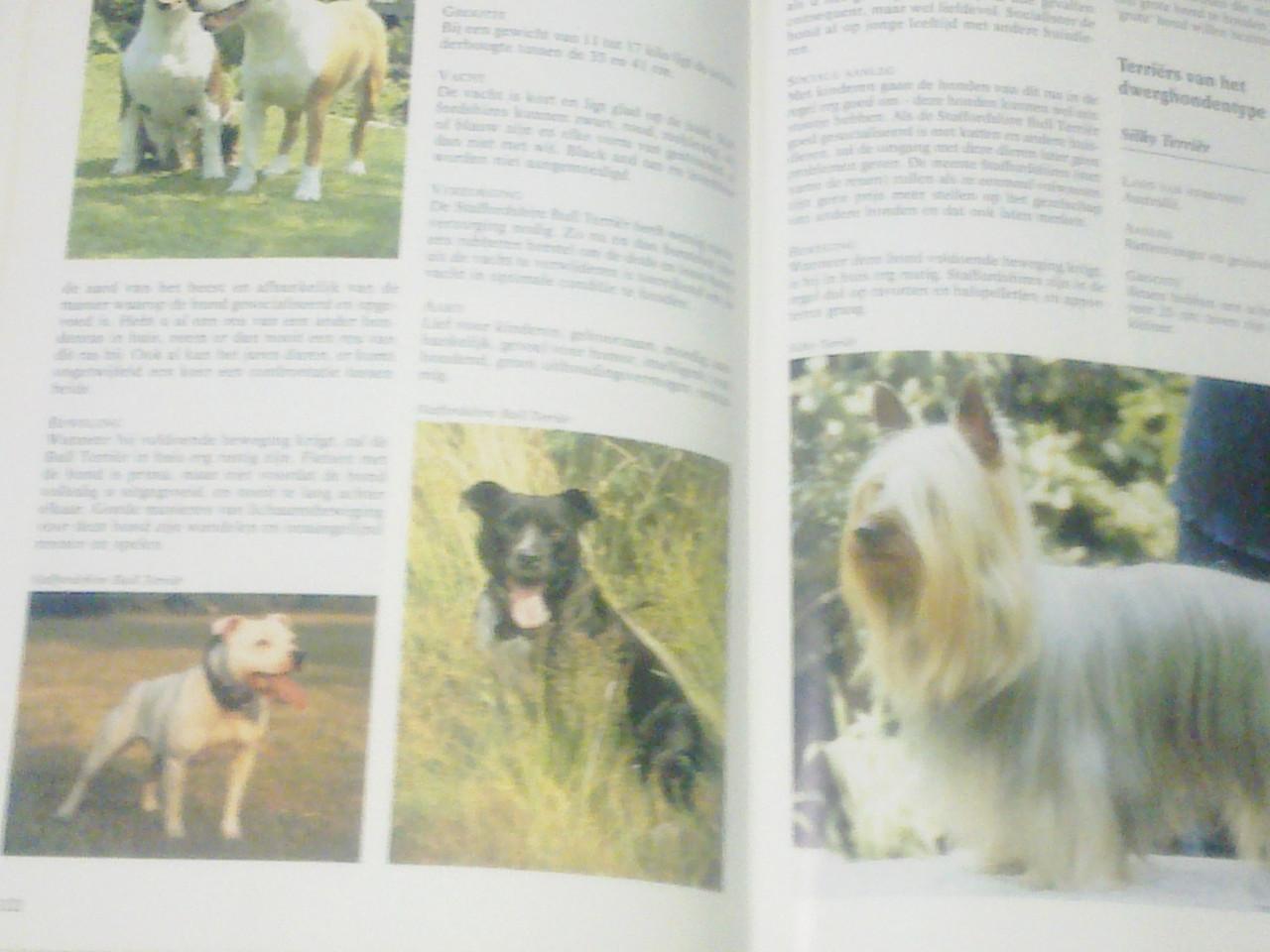 Honden boeken
