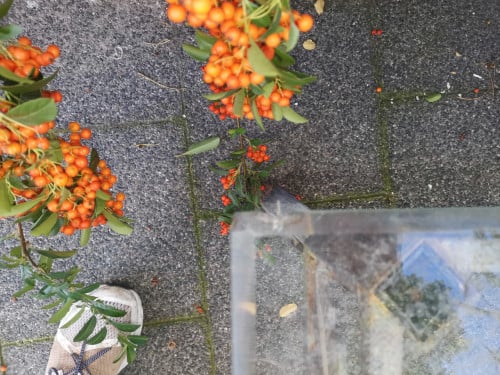 Decoratieve Smeedijzeren lage tafel