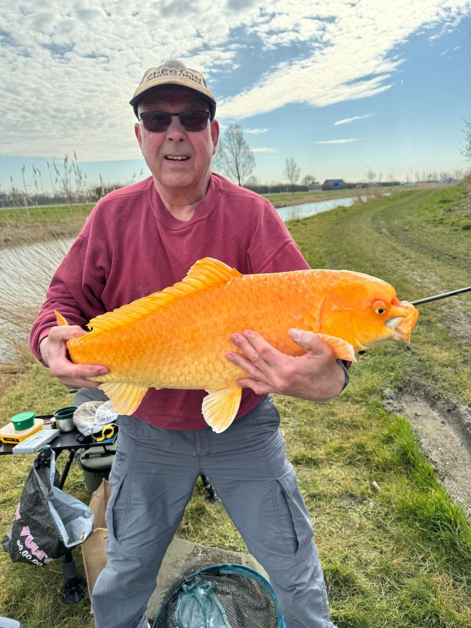 Hengelsport bij Karpervisserij Koudekerke € 17,50 voor een jaar vissen