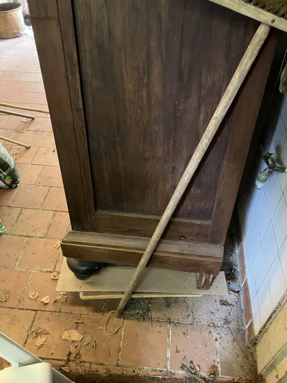Erg mooie Drentse Eiken kast met noten/ pallisander fineer en mooi snijwerk