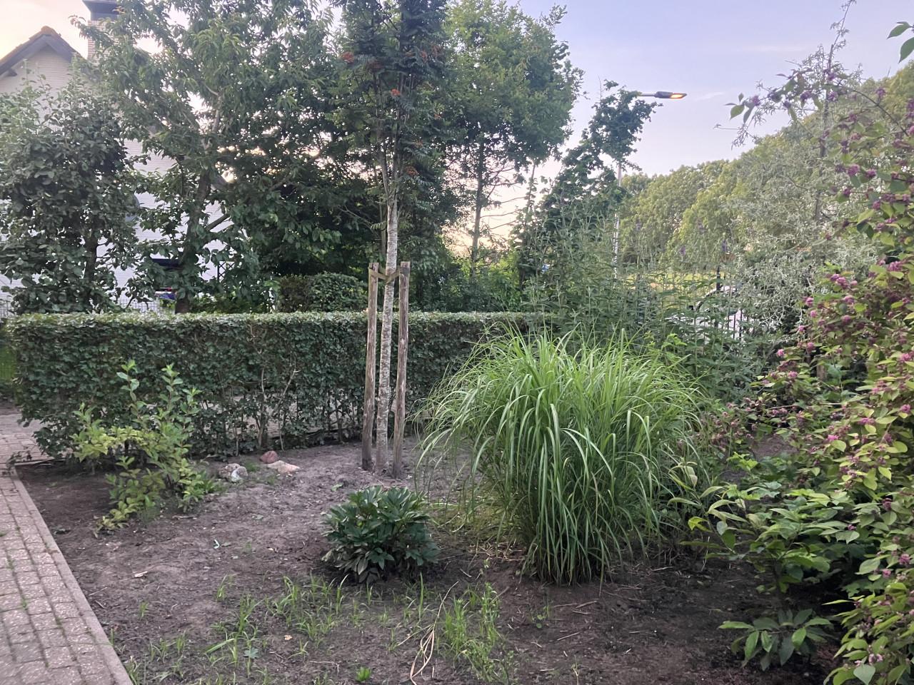 Professioneel Tuinonderhoud Walcheren & Zuid-Beveland | Vaste Prijzen!