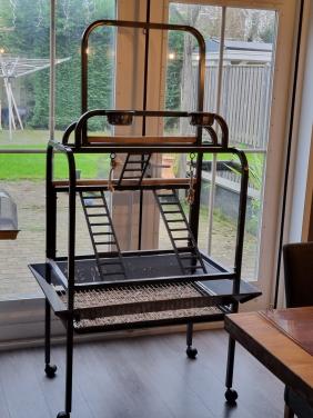 Papegaaien speelstandaard