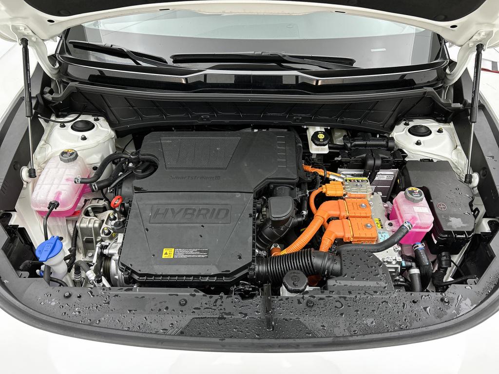 Kia Niro 1.6 gdi hybrid dynamicline interesse in deze kia? deze is uitsluit