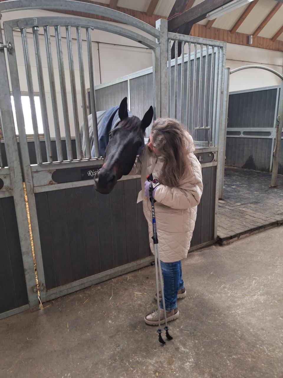 Dagbesteding met paarden , persoonlijke begeleiding
