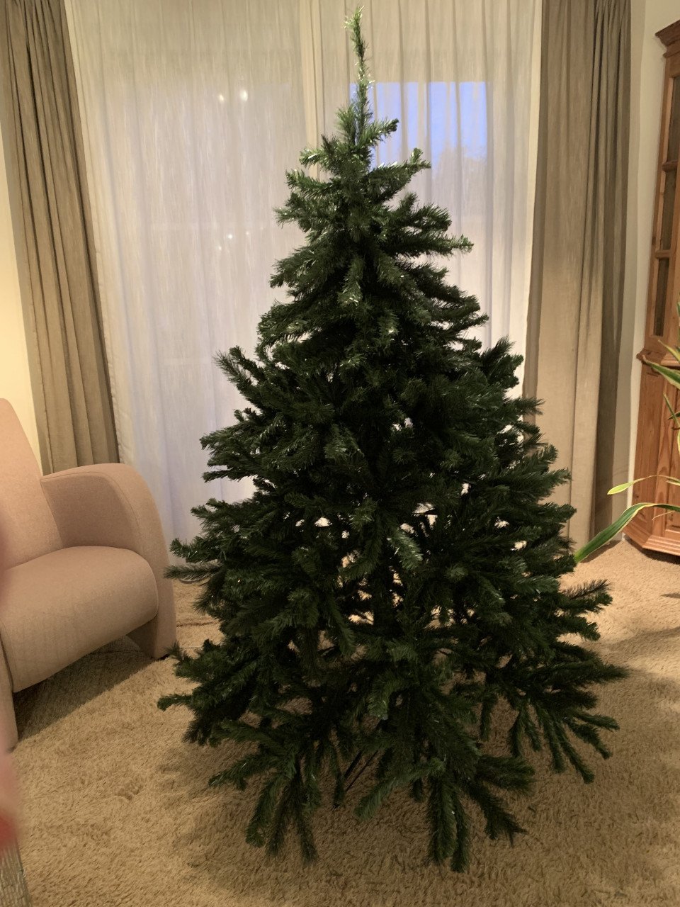 Kerstboom