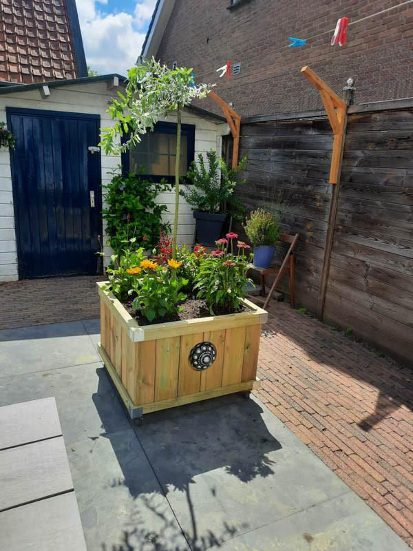 Zeeuwse knop bloembakken projecten ter inspiraties L80 x B83 x H60