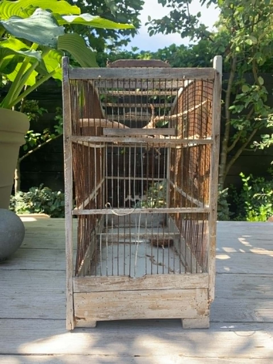 Vogelkooi