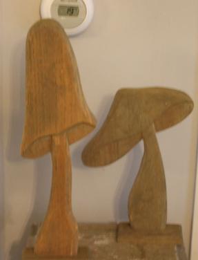 Set van 2 houten paddenstoelen