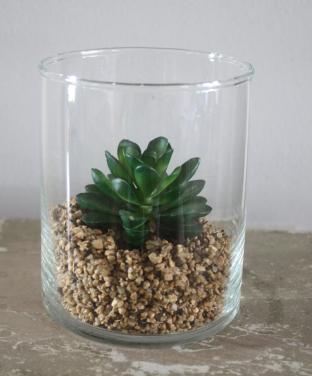 Nep plantje in glazen bloempot