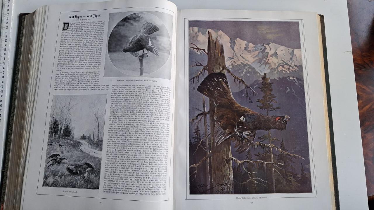 Boeken De Illustrirte Zeitung 6 stuks ( 5 Deutsch en 1 Englisch )