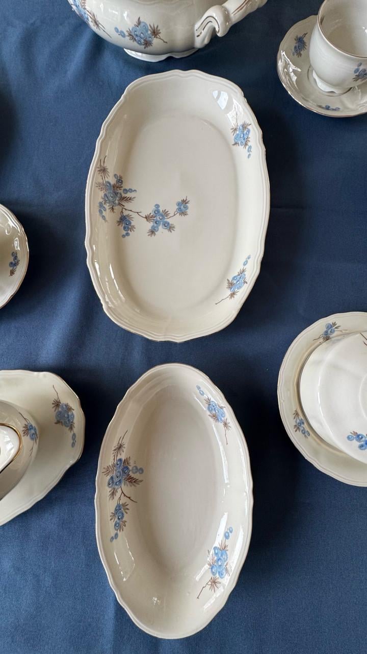 Mitterteich Bavaria servies compleet 5 / 6 personen.