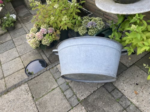 Zinken teil.