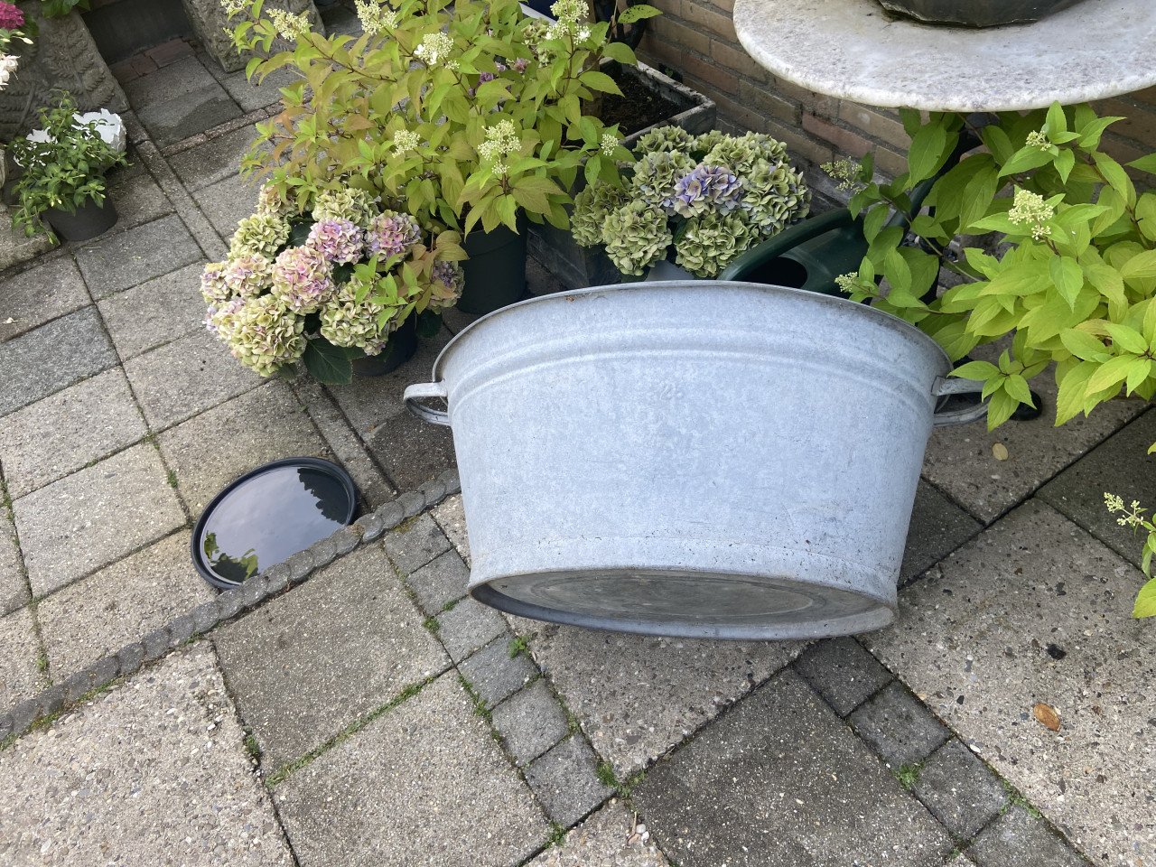 Zinken teil.