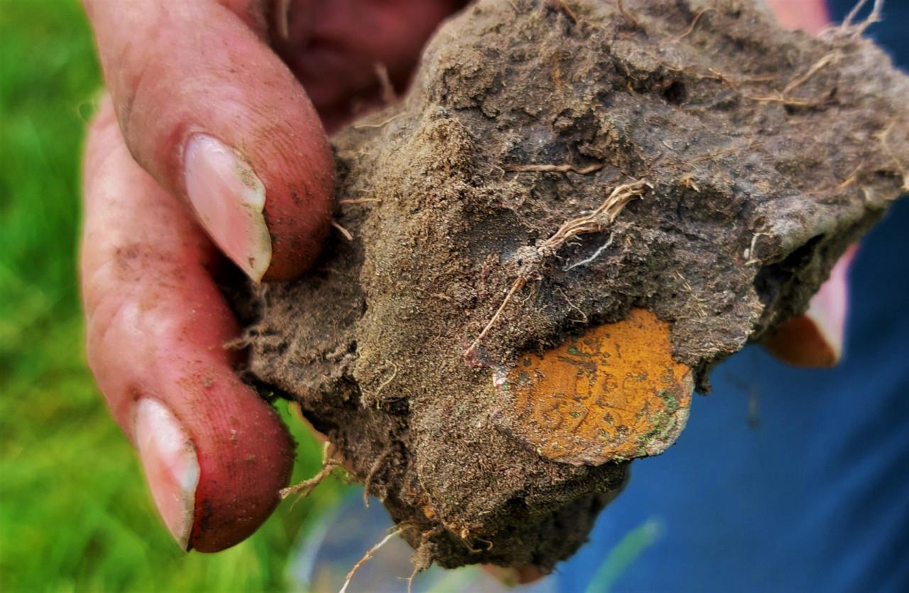 Teambuildings  en Personeelsuitjes activiteiten bij Luctor et Detector