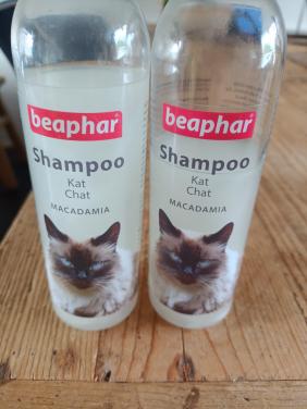 Beaphat shampoo kat