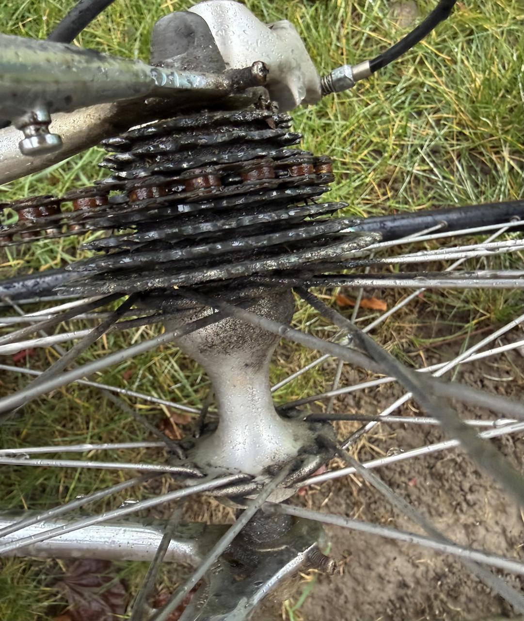 VINTAGE. F Moser Koersfiets. Italiaanse staal.