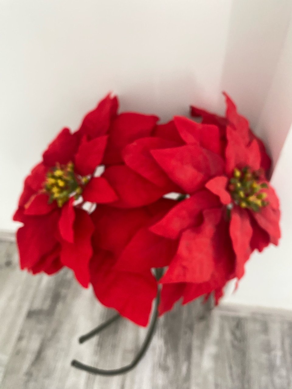 Bloemen rood