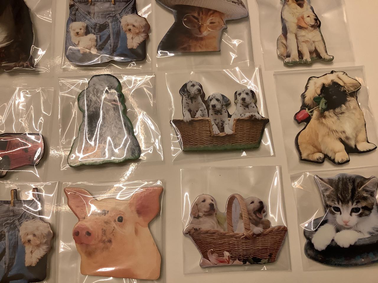 Partij super leuke magneetjes ( partij 21)