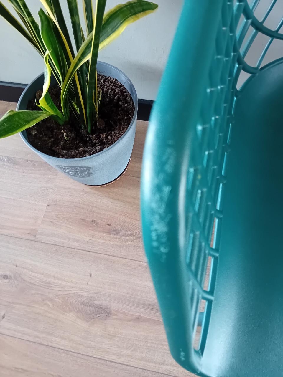 2 groene eetkamer stoelen