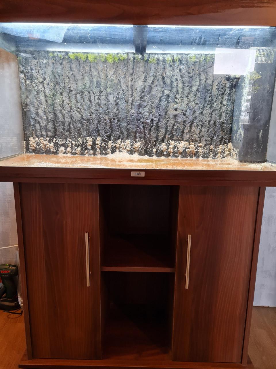 Juwel rio 180 aquarium