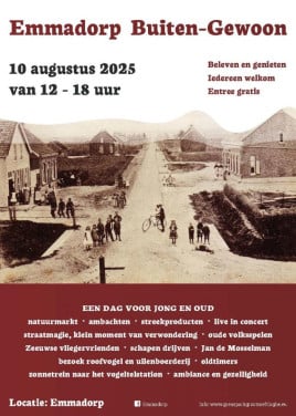 Grote braderie - Emmadorp 10 augustus