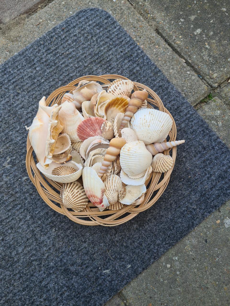 Mandje met schelpen