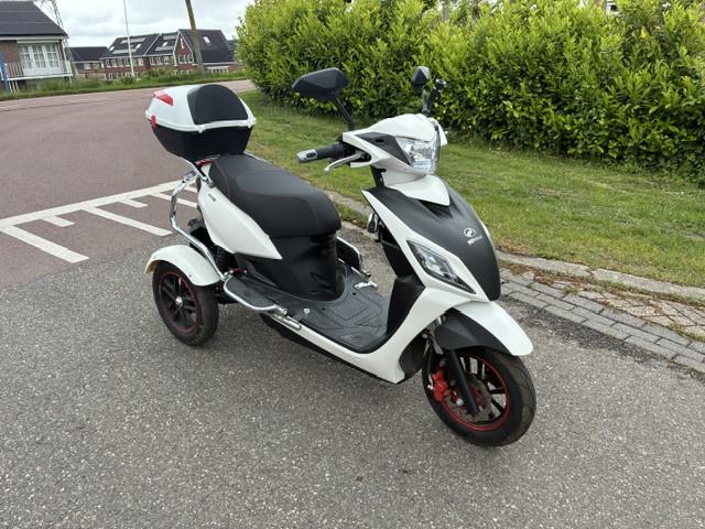 GEEN RIJBEWIJS ? NIET NODIG MET DEZE STOERE NIPPONIA PRIDE !
