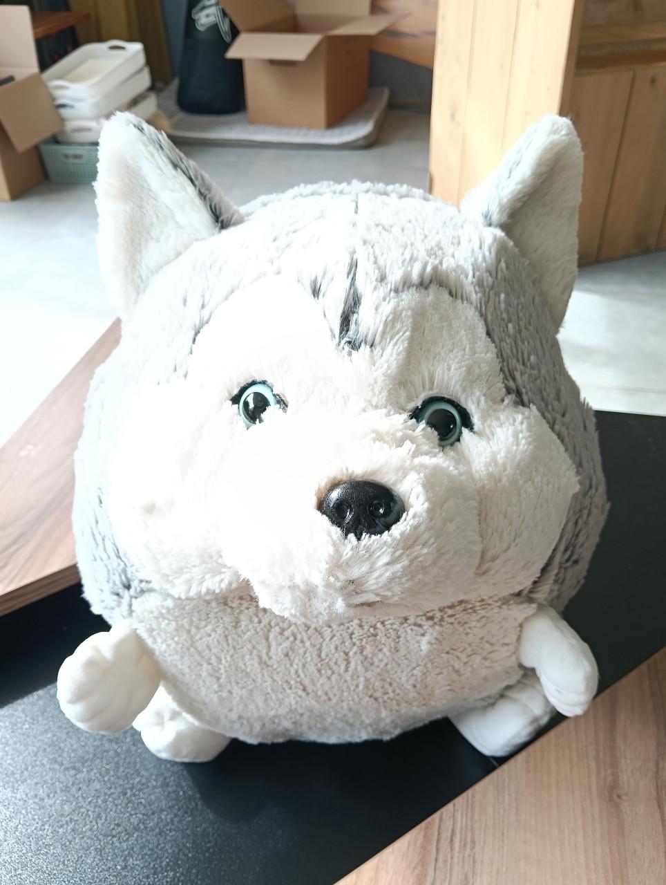 Knuffel