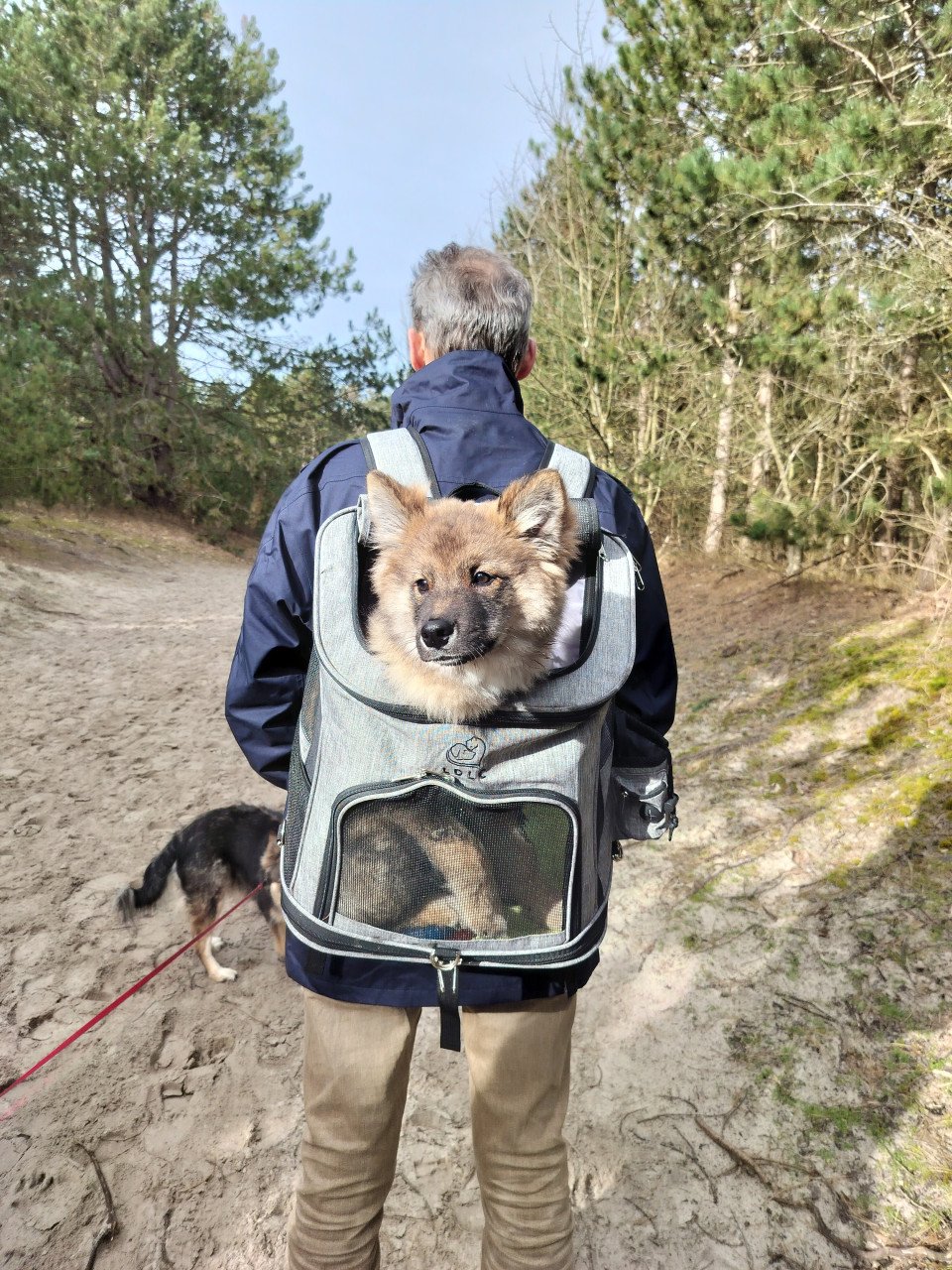 Honden rugzak (en katten) LDLC tot 8 kilo. Zo goed als nieuw.