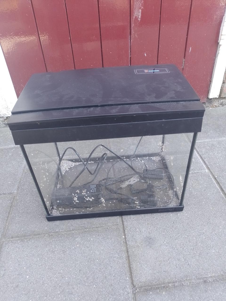 Mini aquarium met lamp en pomp