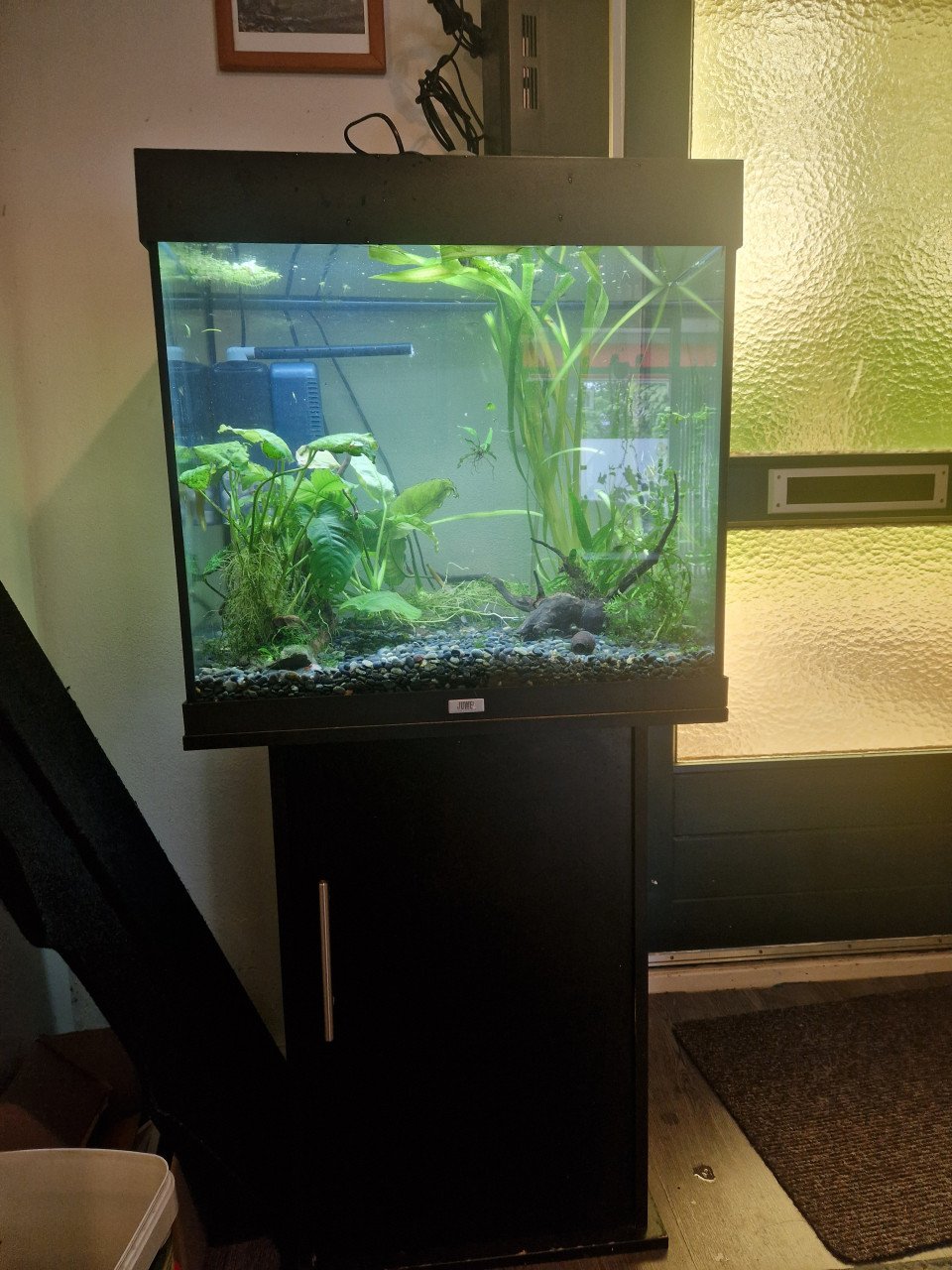 Aquarium lido 120 compleet