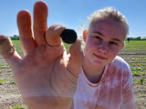 Metaaldetectie workshops op weilanden, akkers en boomgaarden