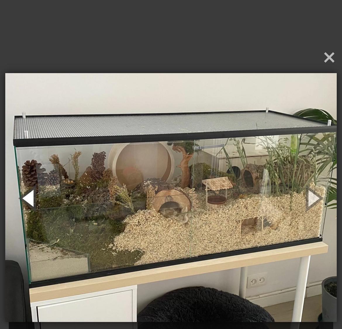 Hamster/ muizen terrarium
