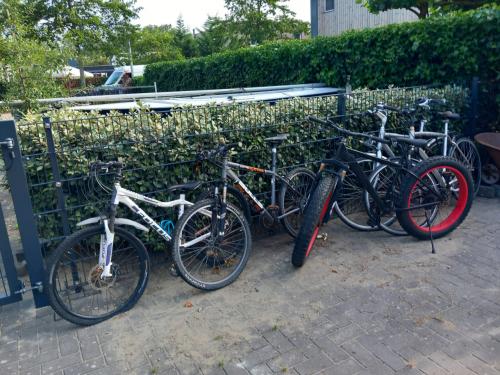 5 fietsen