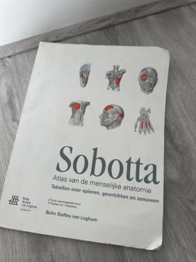 Sobotta - Atlas van de menselijke anatomie - Bohn Stafley van Loghum