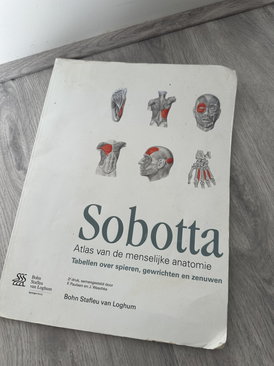 Sobotta - Atlas van de menselijke anatomie - Bohn Stafley van Loghum